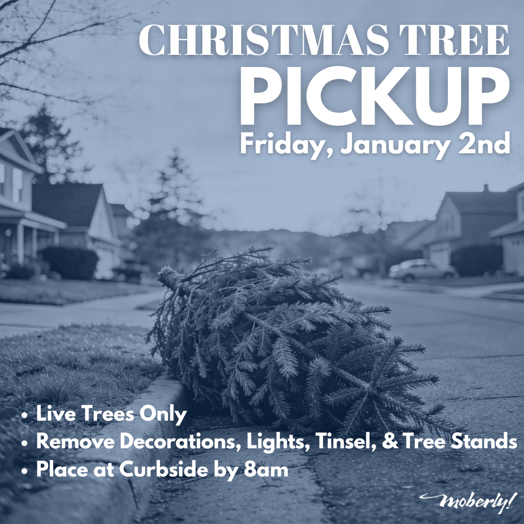 Christmas Tree Pick-UP